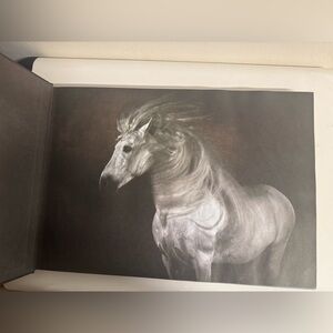 Yann Arthus-Bertrand horses book hardcover